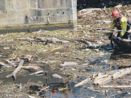 The SSPCA worked with the Fire Service and Coastguard to reach the animal