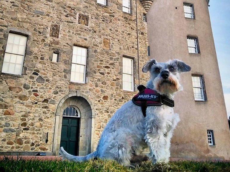 Picture: Castle Fraser Facebook